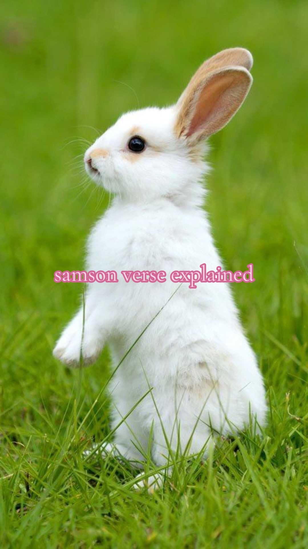 @samson