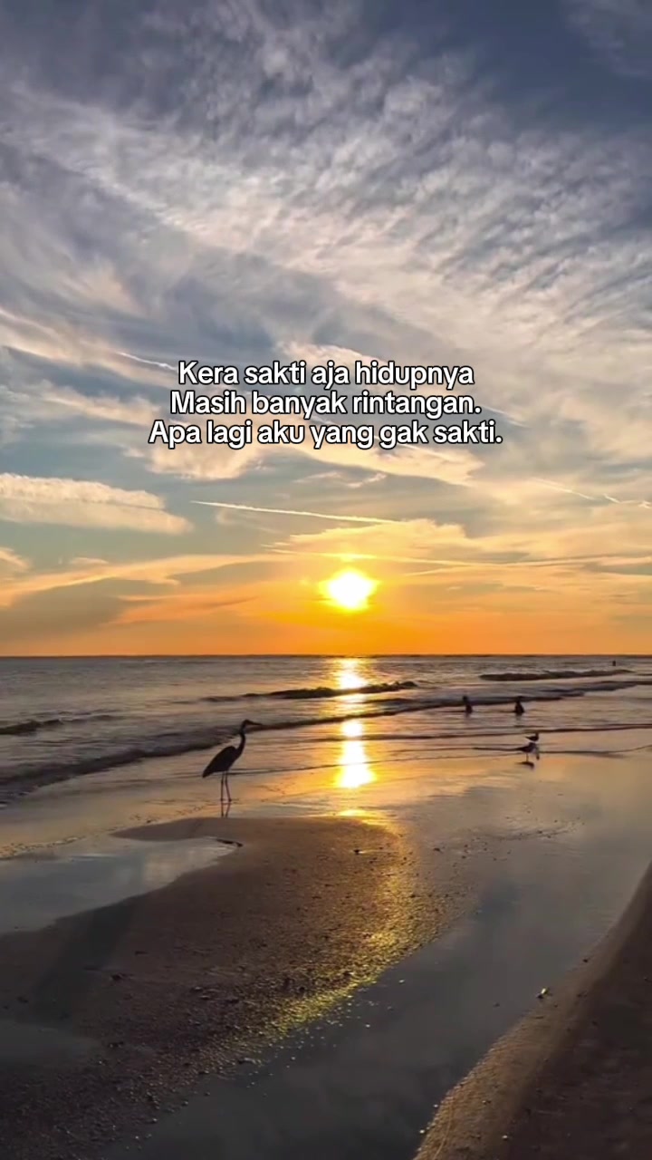 @@@&trade;DjipLakstoRy&reg;✓💎