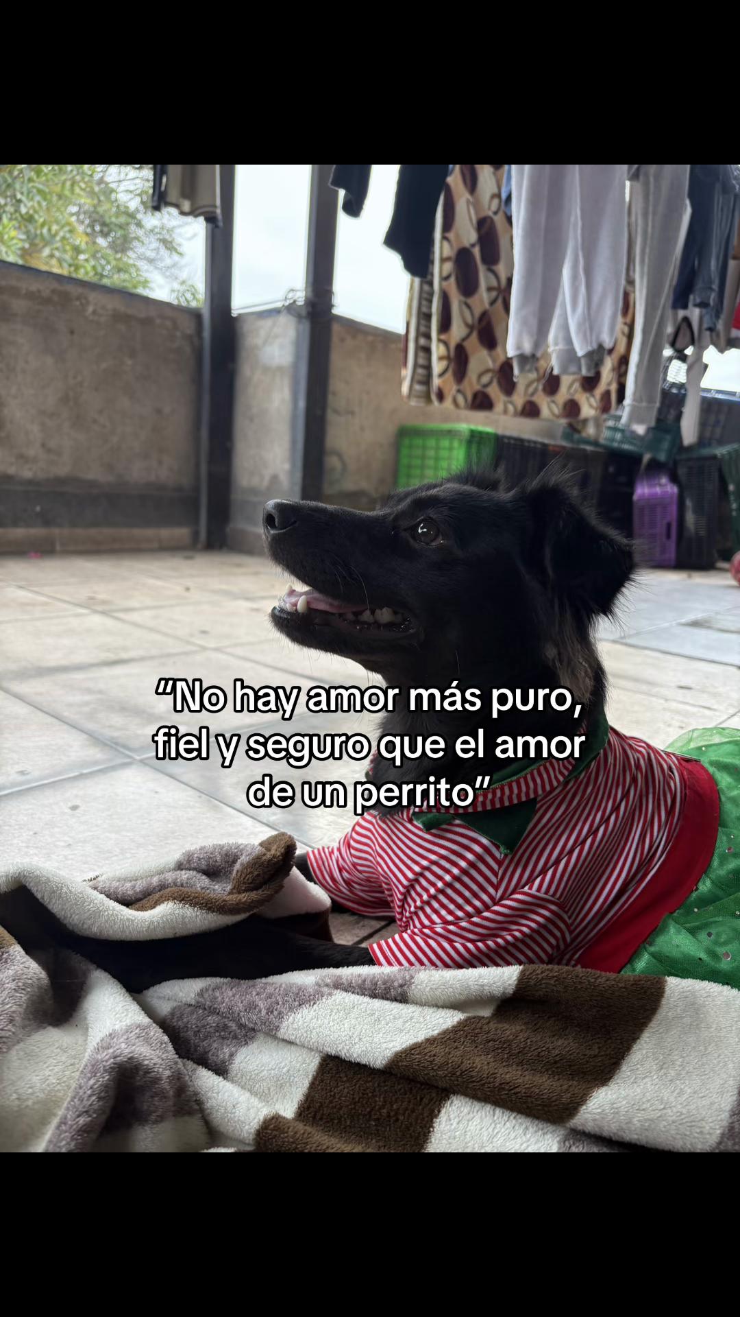 @M'arcos klk