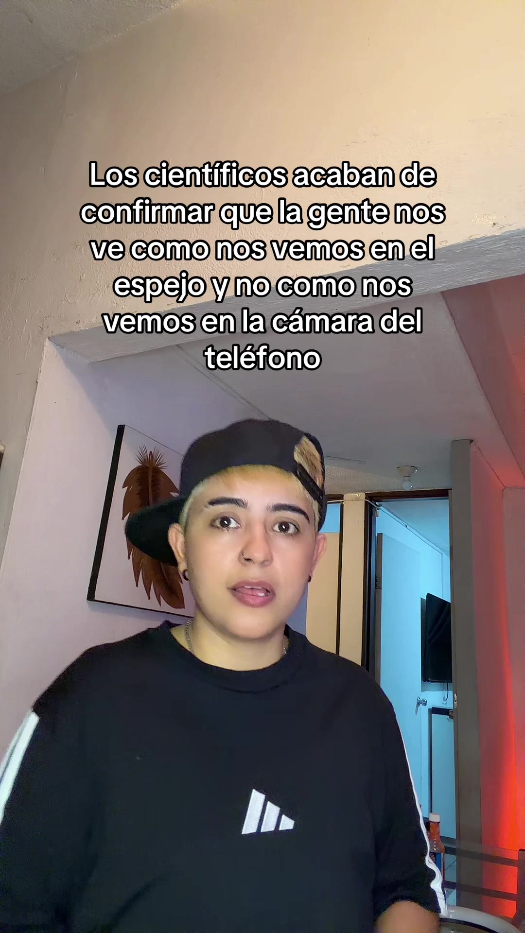 @Shane 💎