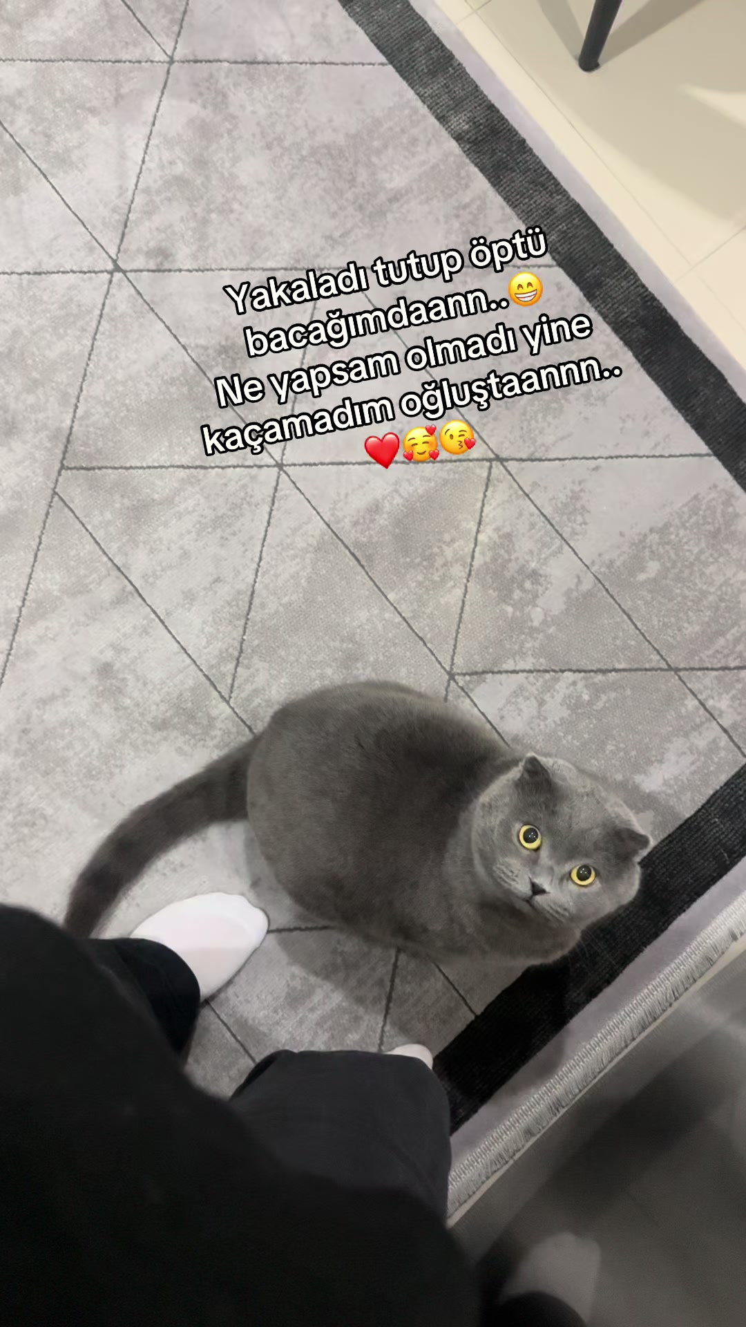 @yenilmez_asi