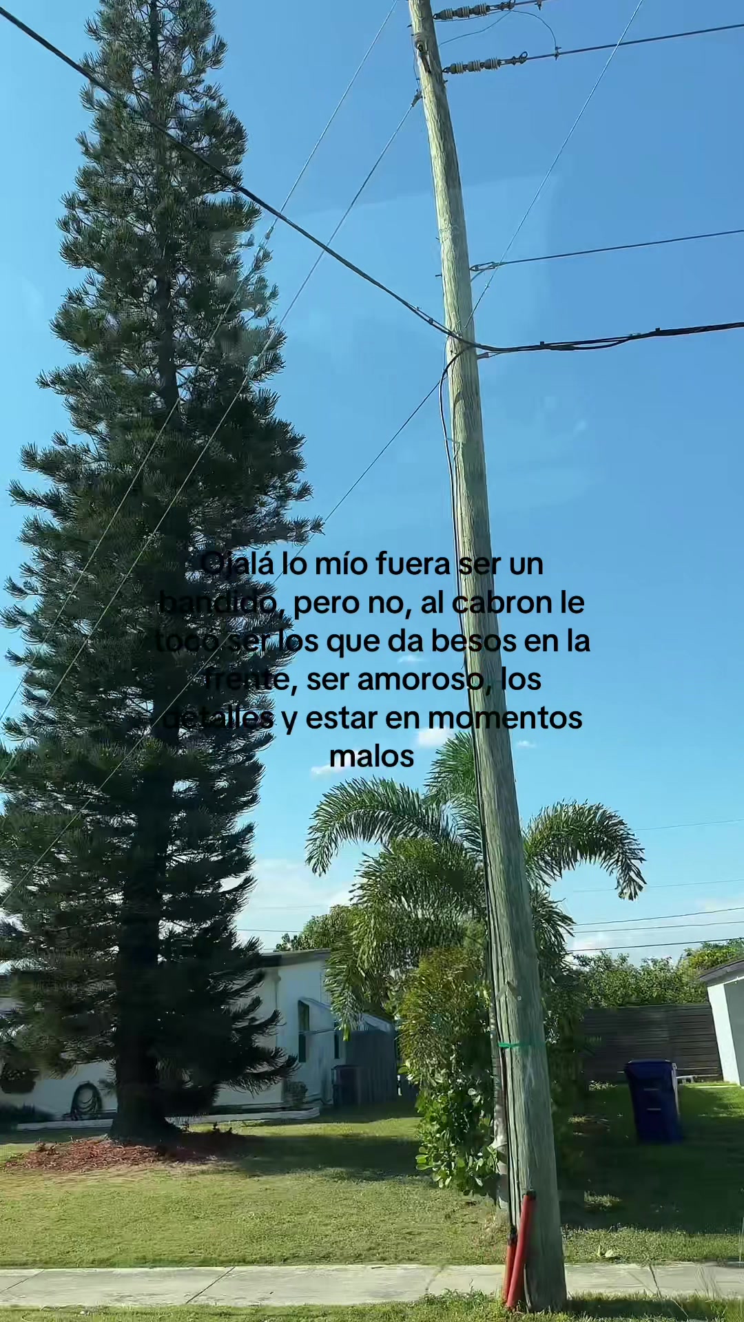@Luis Morales