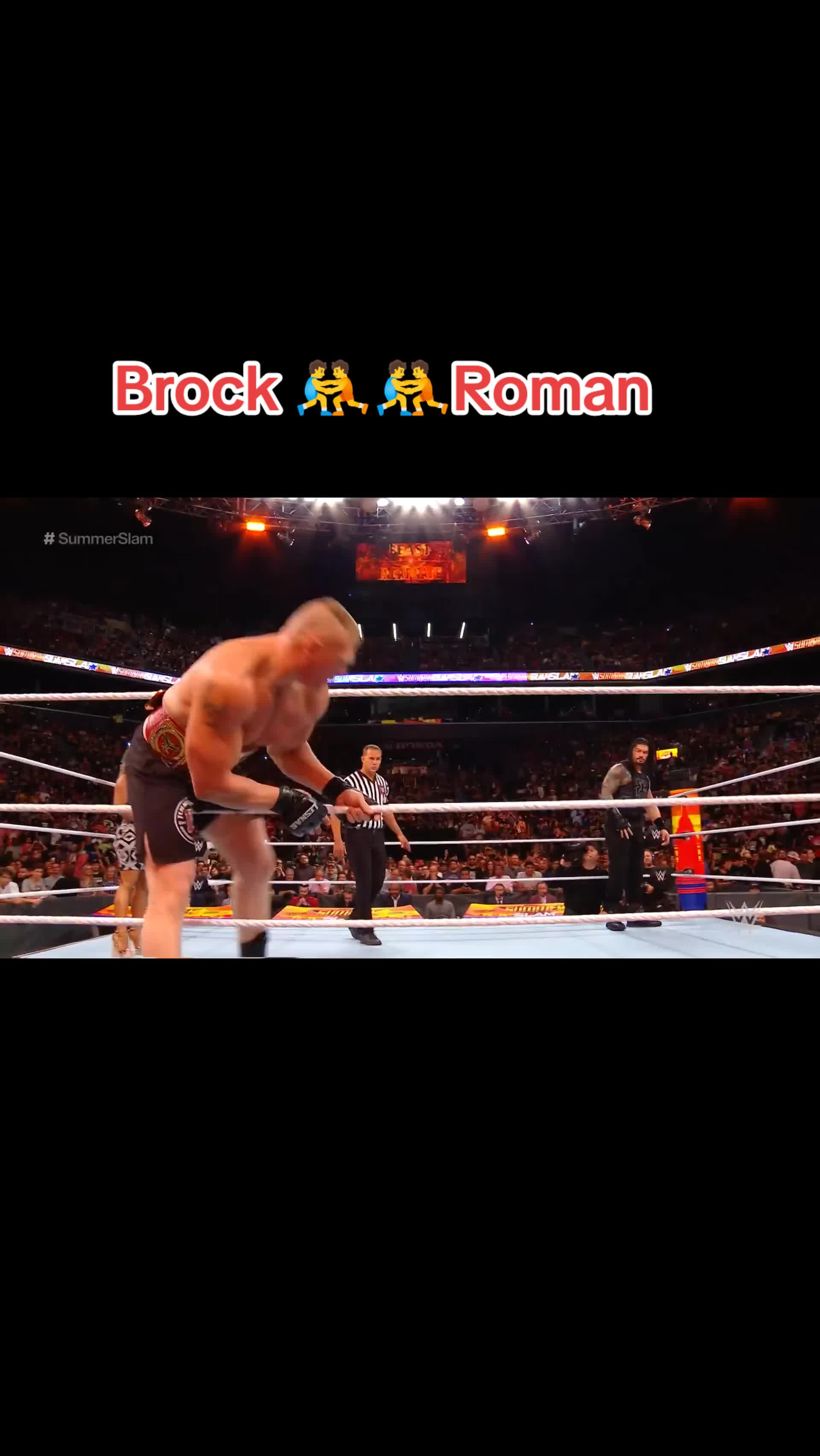 @brock Lesner 🤼