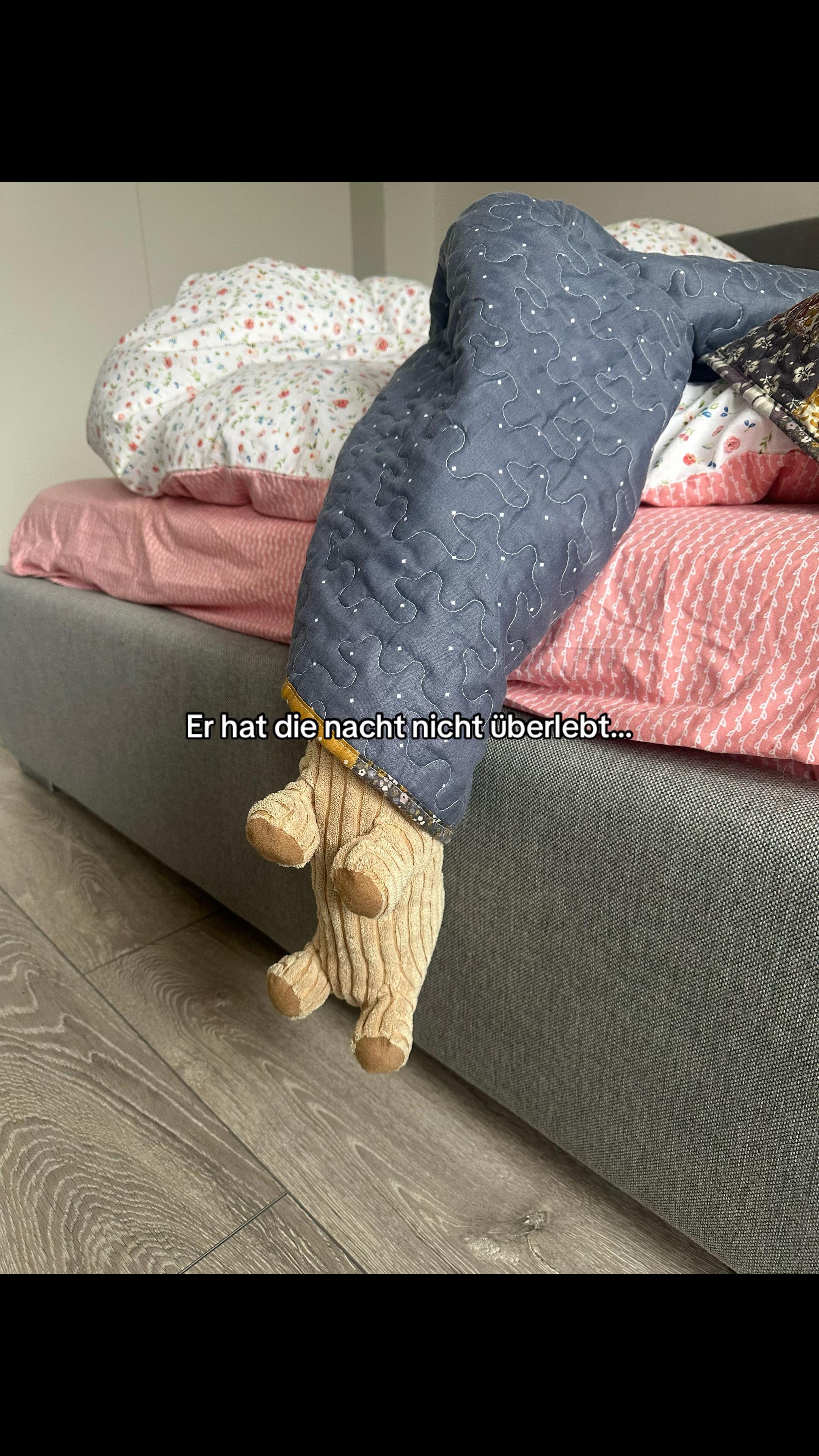 @elena