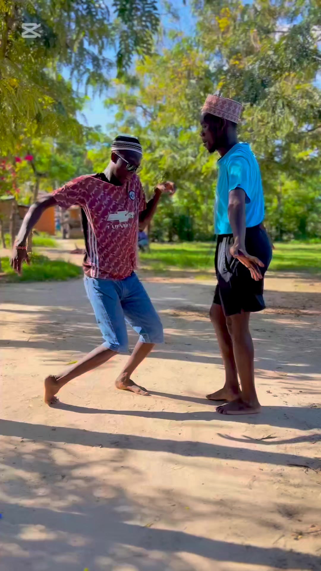@Echo 254