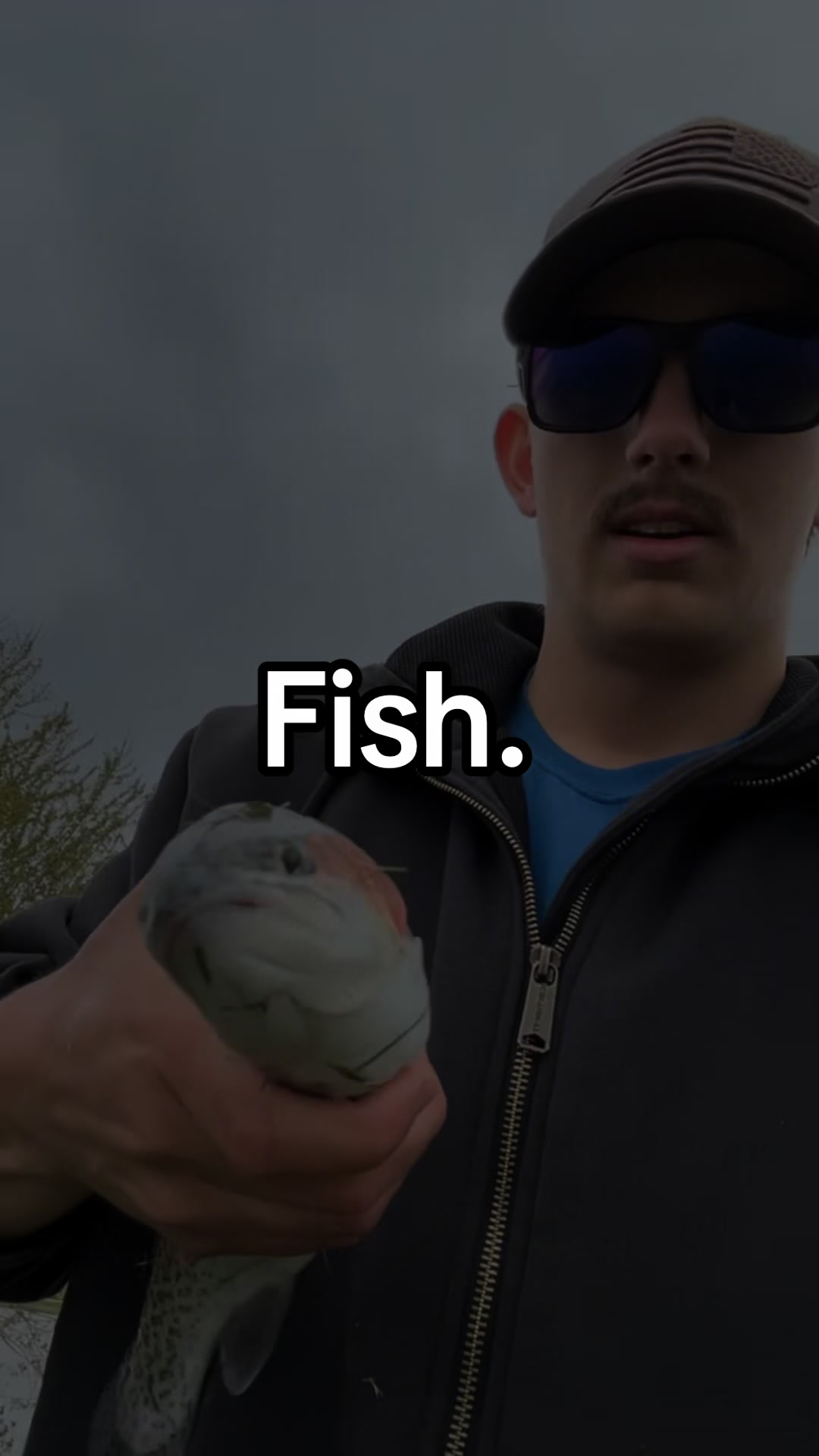 @Fish O&rsquo;clock