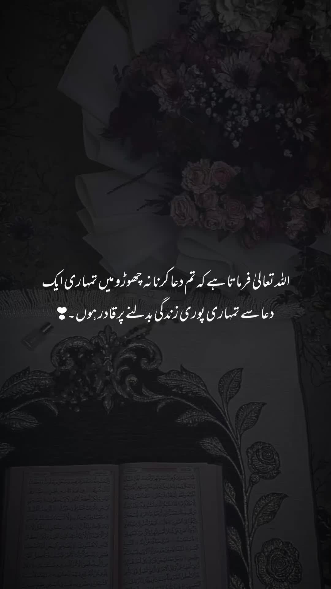 @اقصیٰ 🦋
