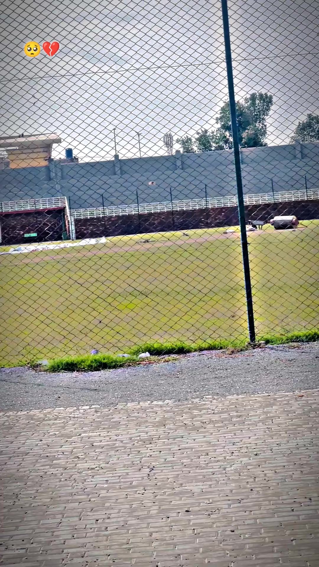 @🇧🇶😎 𝙰𝐊 𝔹𝑹ᴀ𝗡D̶ 🇧🇶317