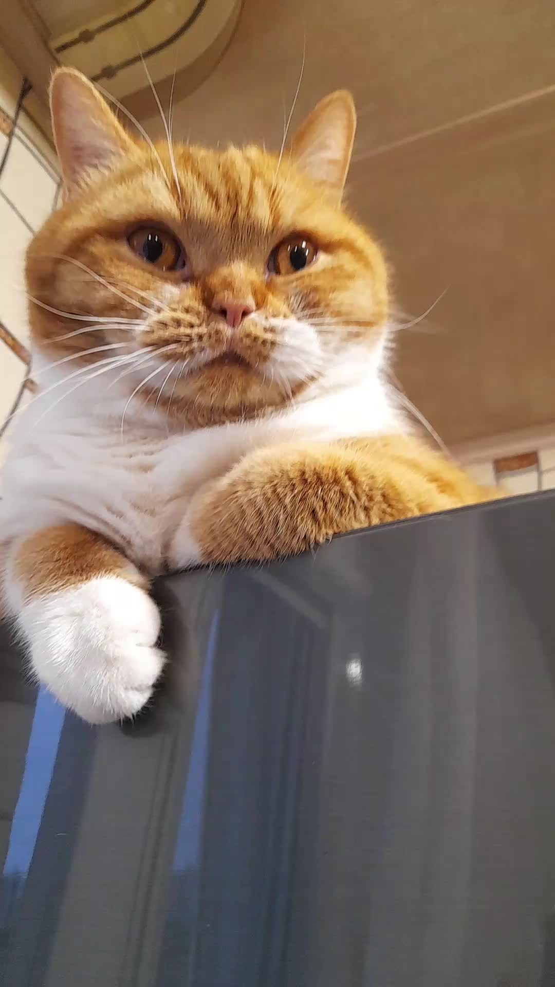 @юра