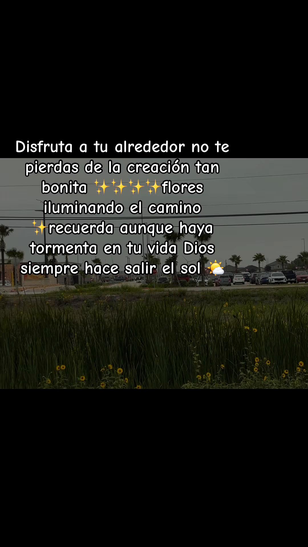 @Judith chavarria