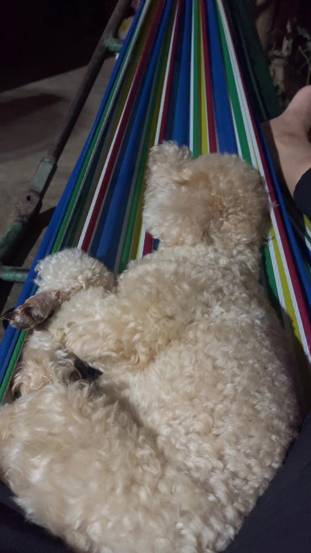 @Lê diễm hồng