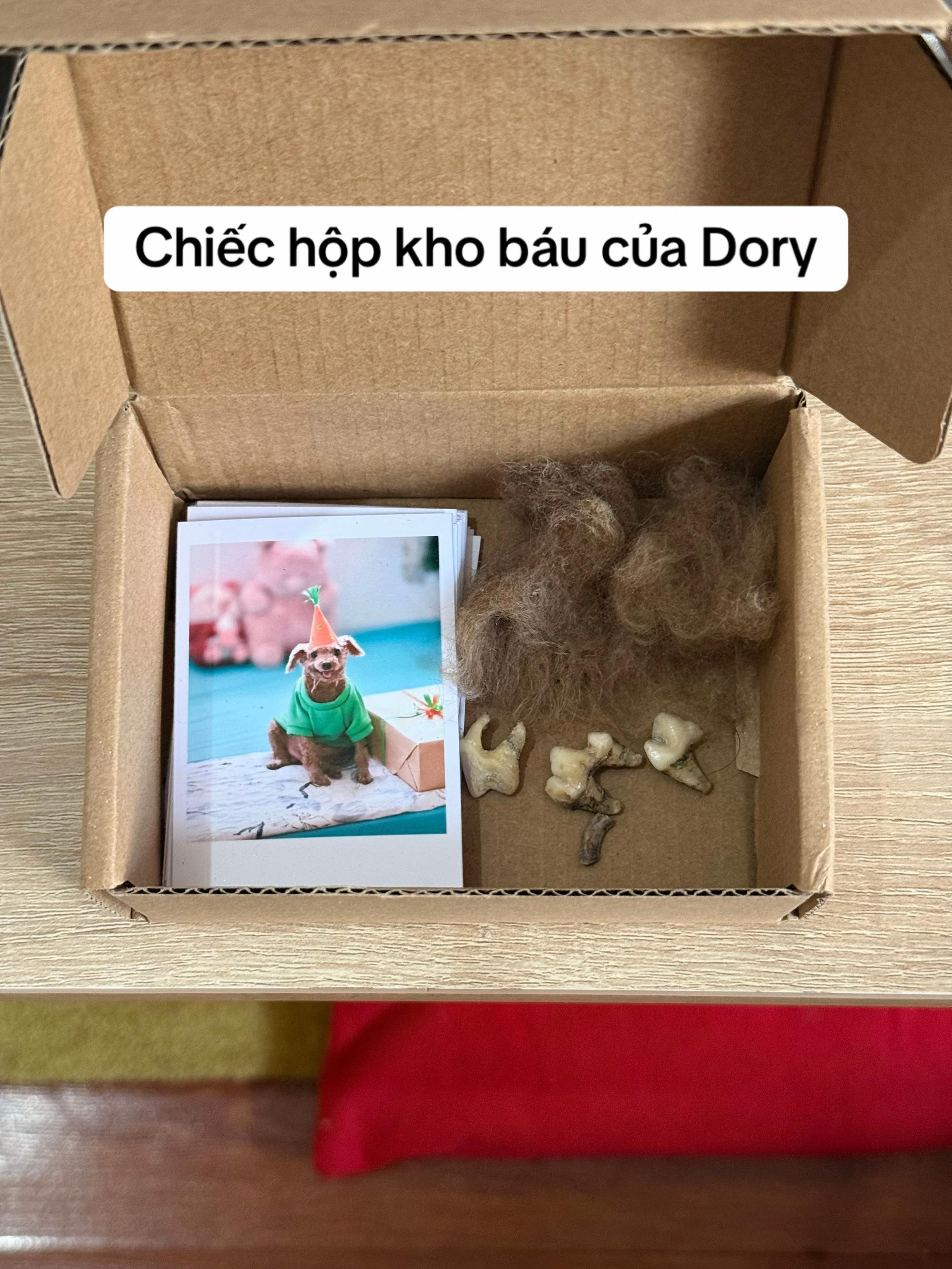 @C&aacute;i ph&ograve;ng nhỏ x&iacute;u