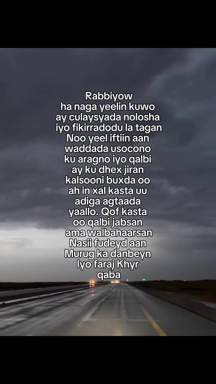 @Meow🐈&zwj;⬛