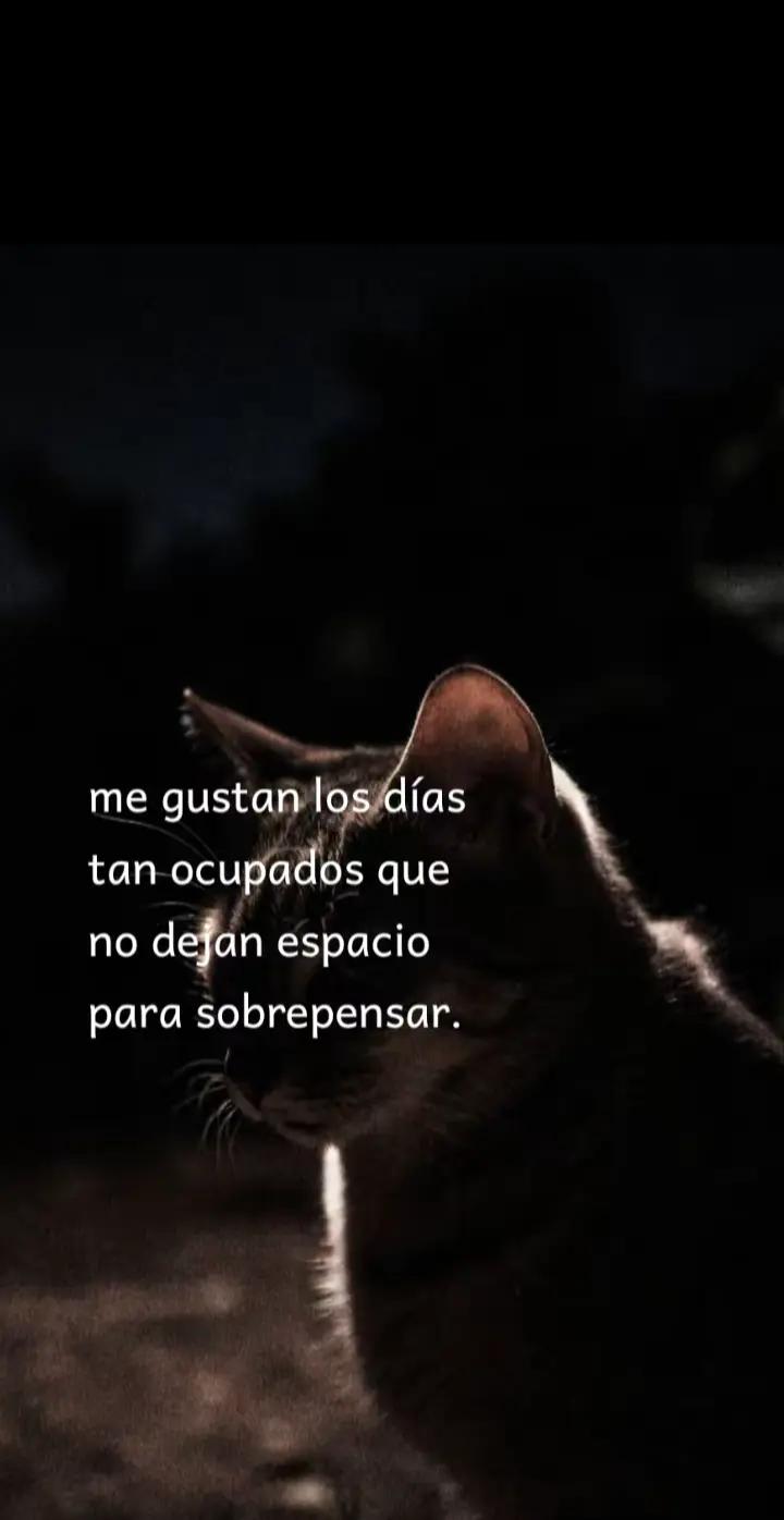 @Susy.Suca