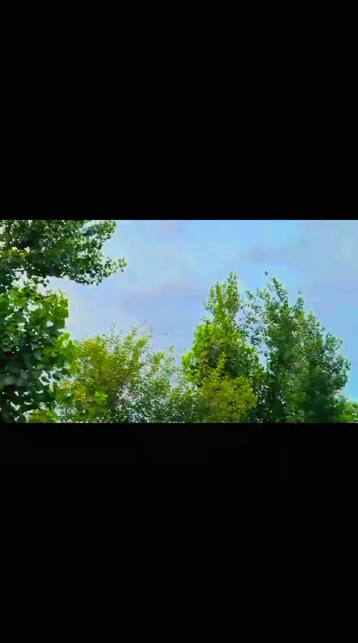 @SUNNY RAJPOOT