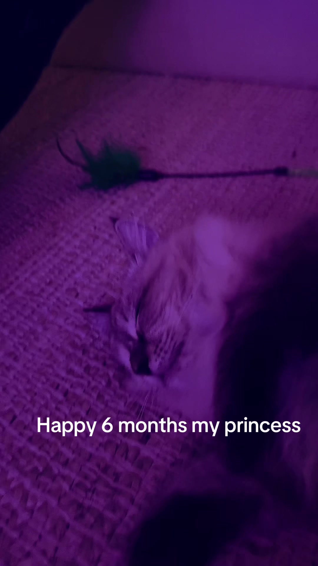 @Ash