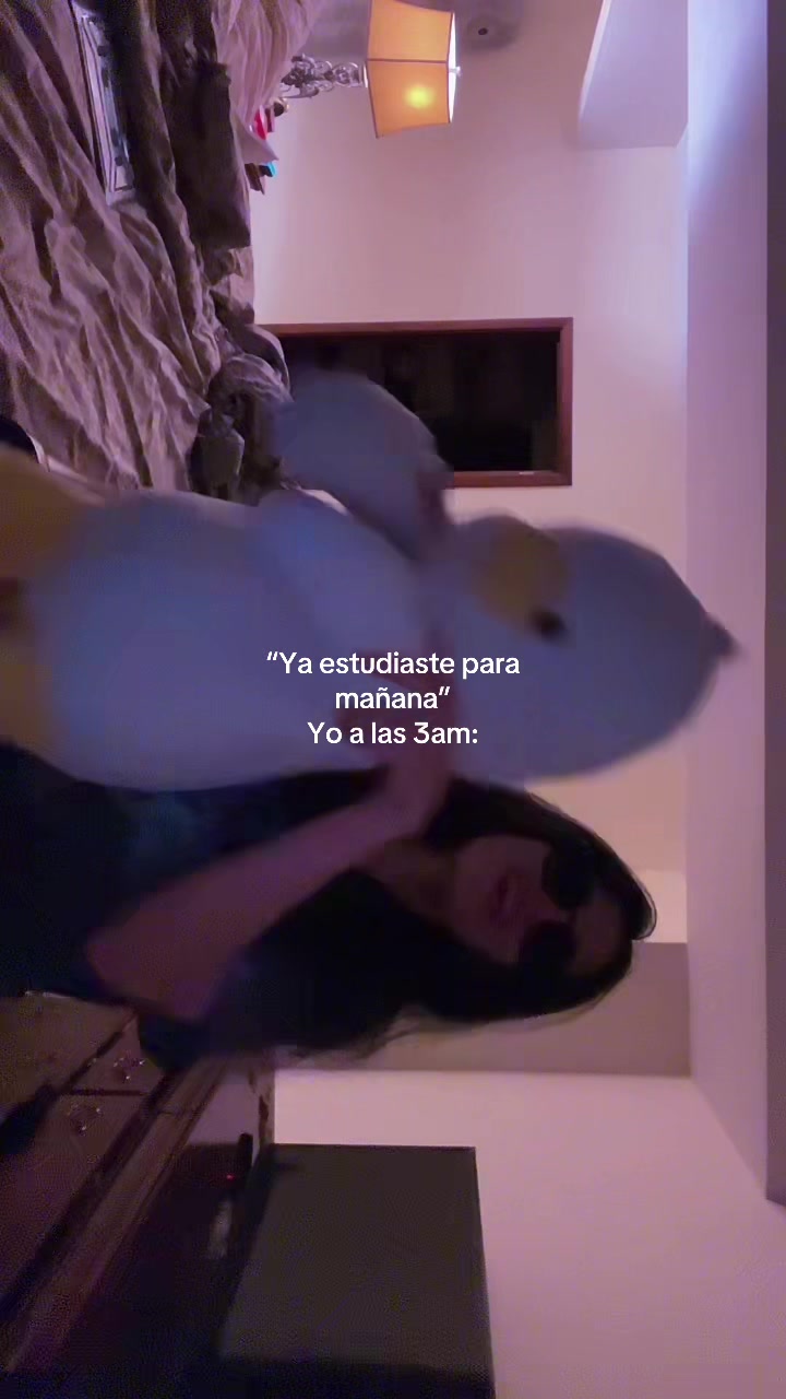@coco_liso