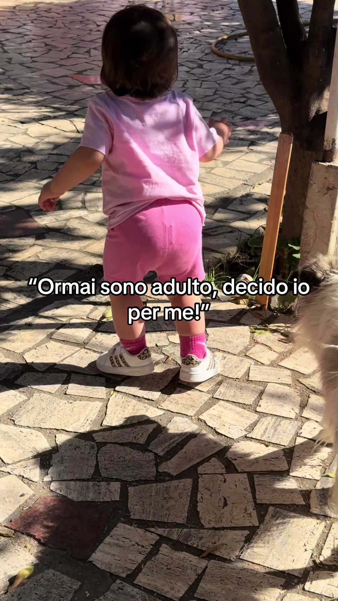 @Littledolly998
