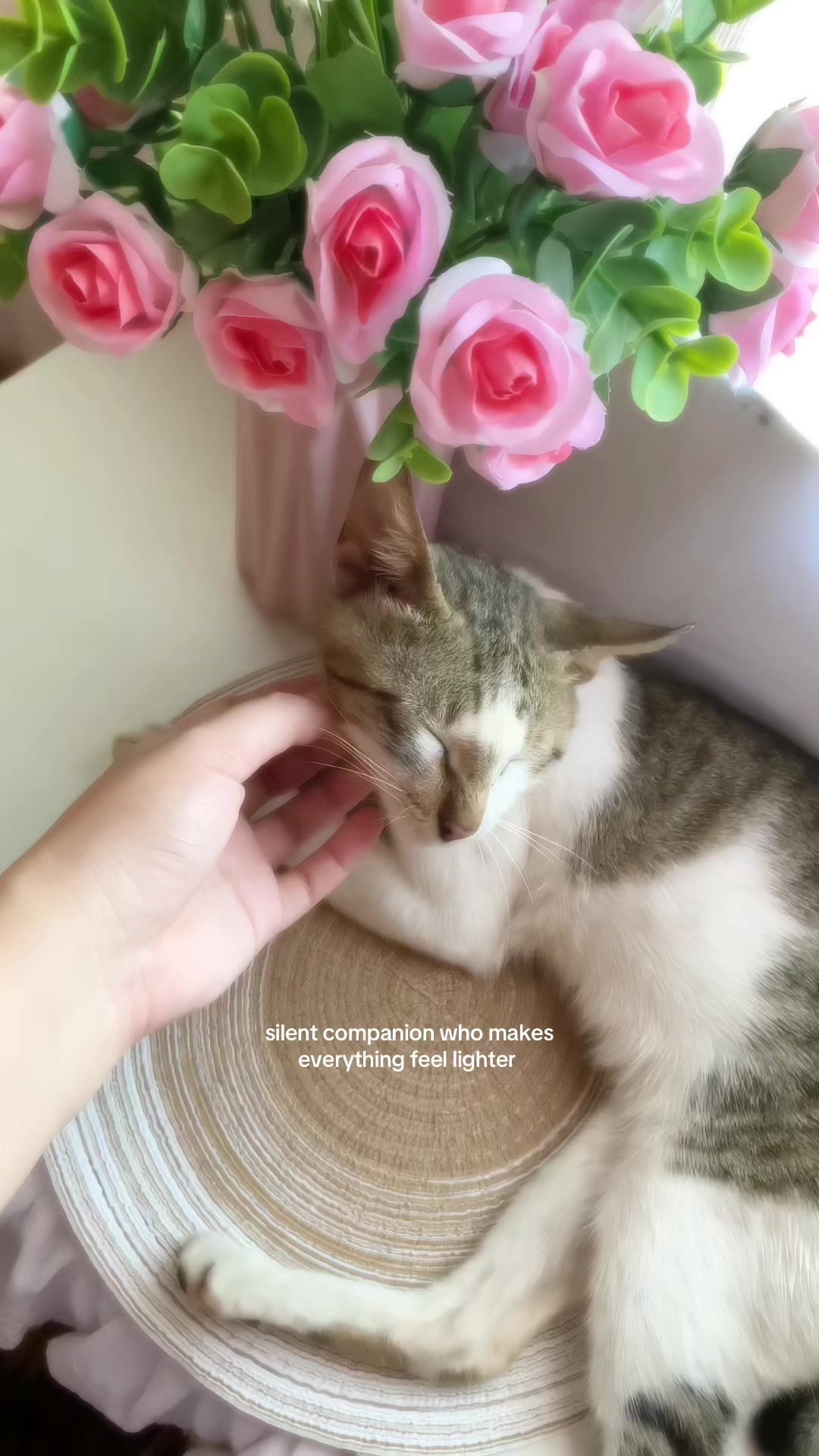 @kittylorie.recos