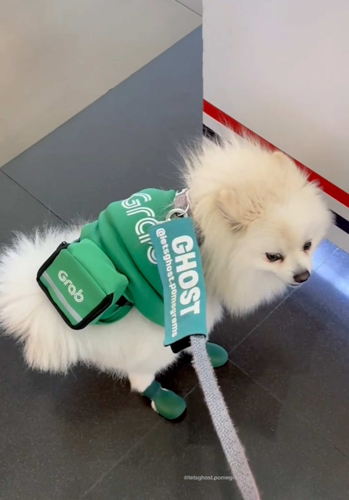 @G H O S T TheRunnerPom