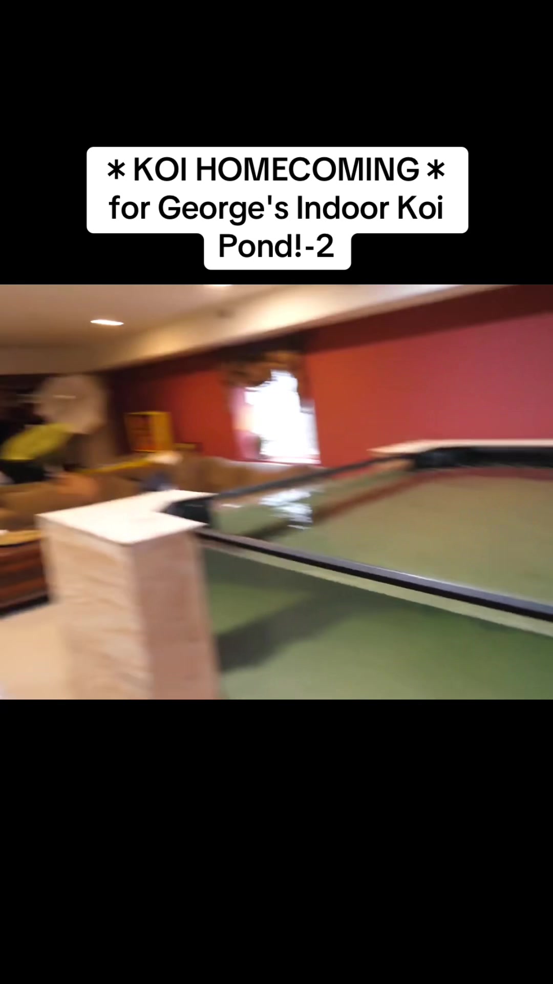 @user2229180201810