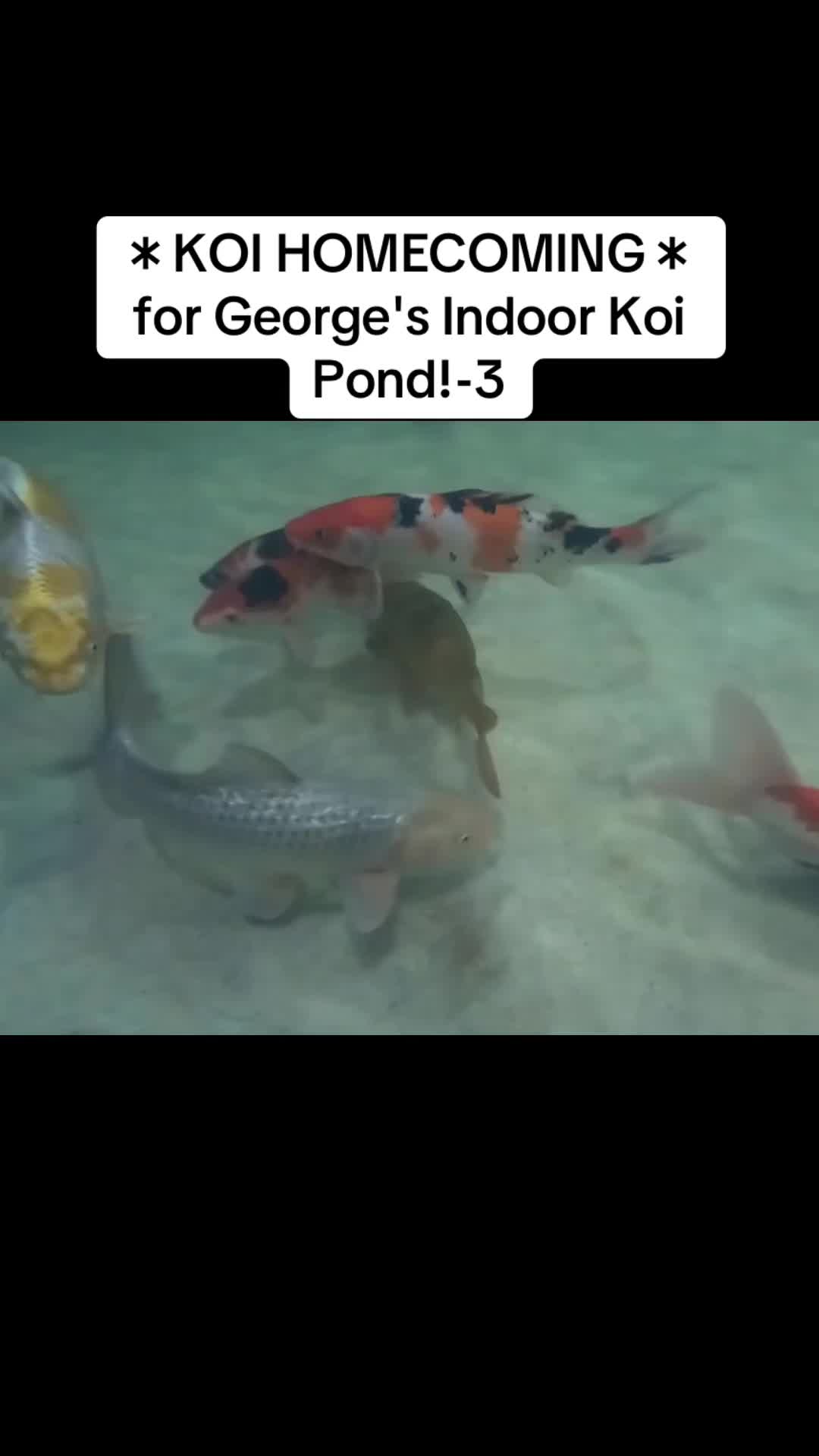 @user2229180201810