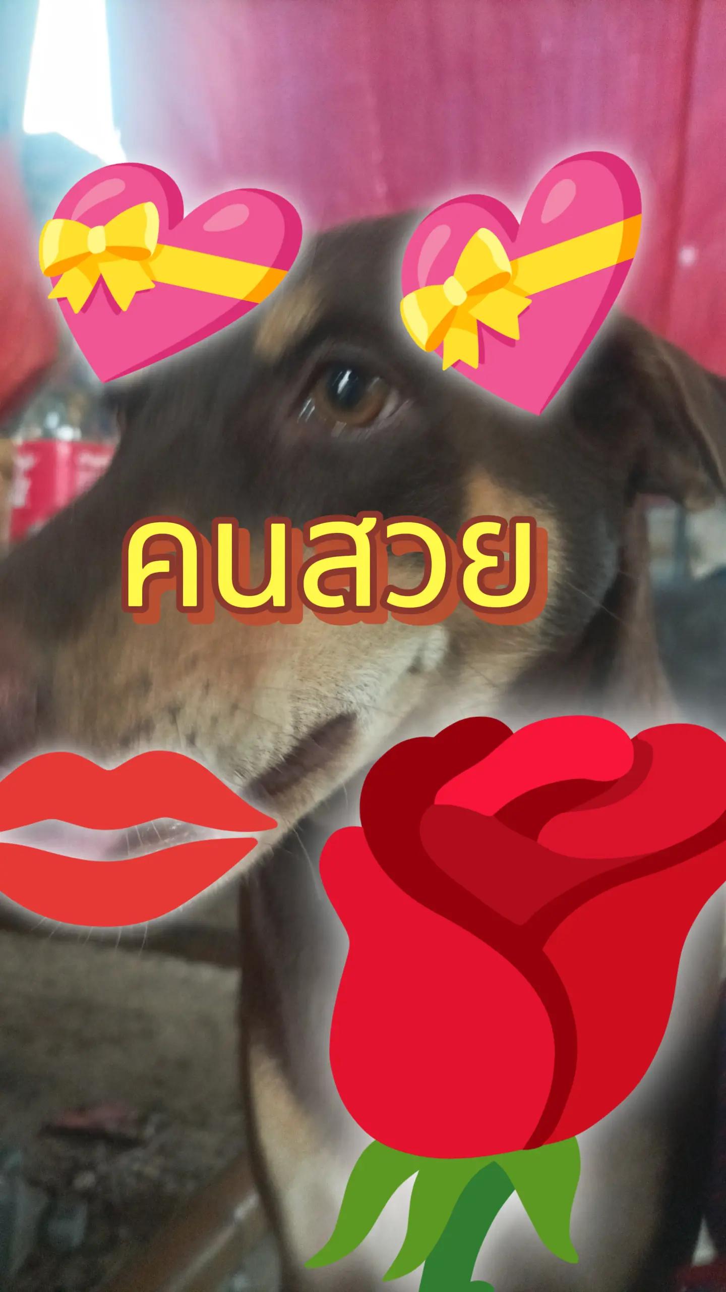 @น้องเก้าชอบดูคลิปพี่มาแชล❤️