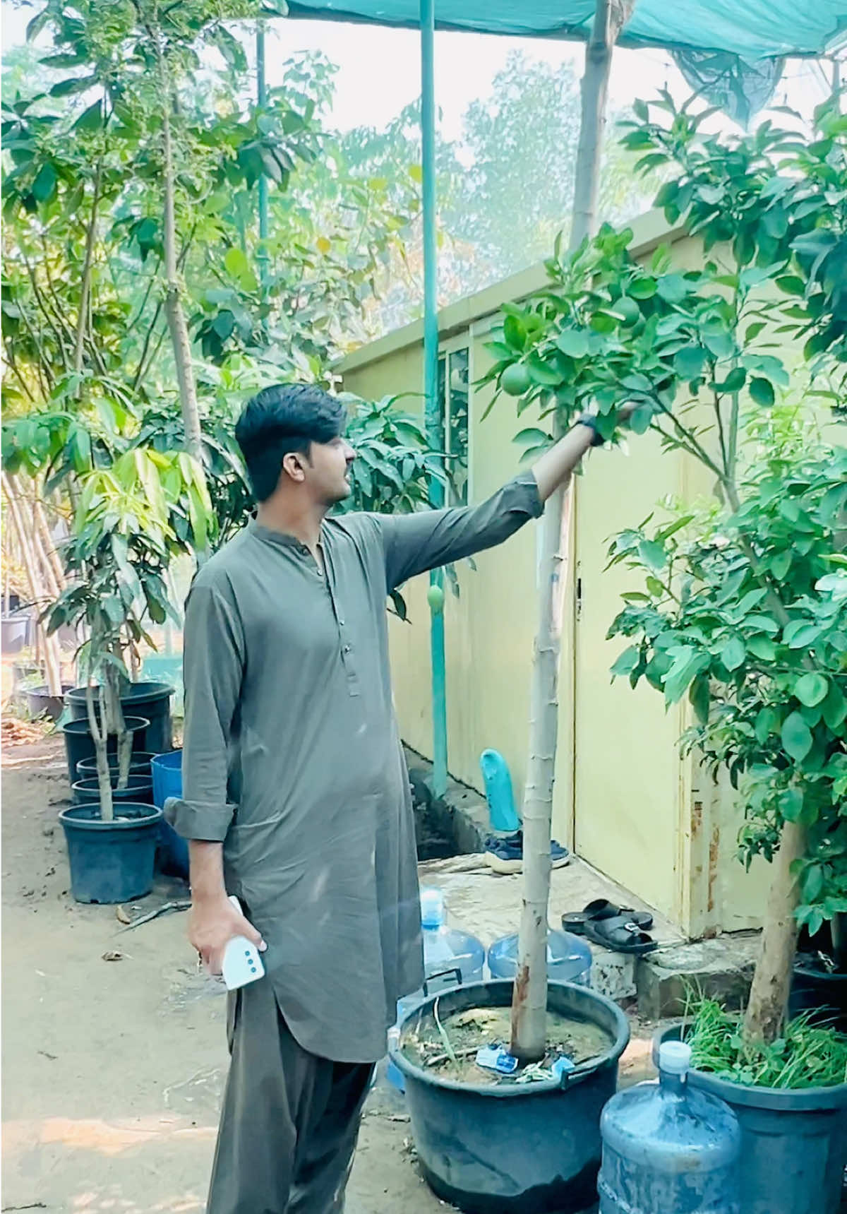 @ASIM ARAIN 786