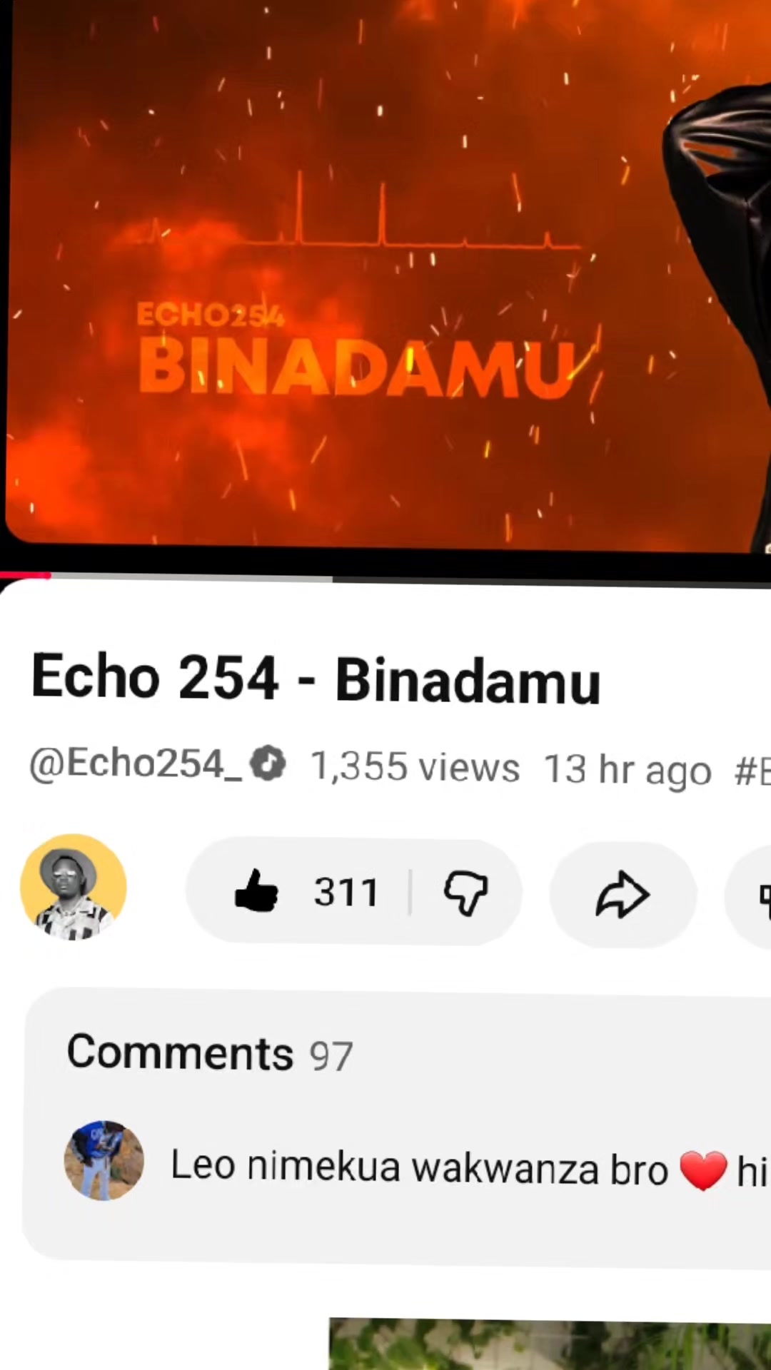 @Echo 254