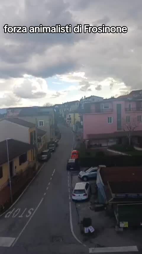 @ELETTRA BOLOGNIN