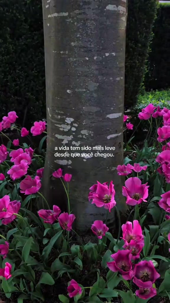 @⋆˚꩜
