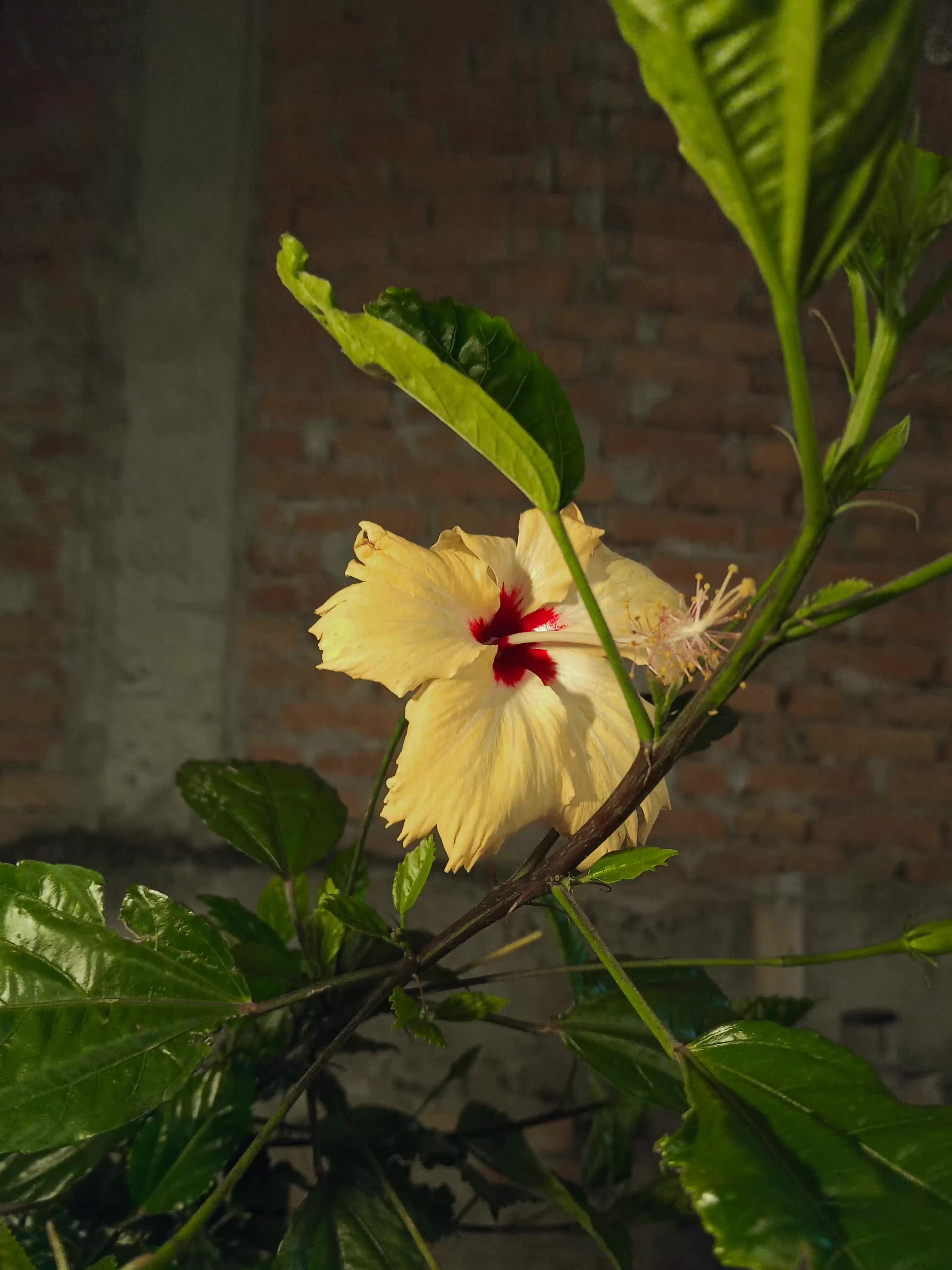 @DN Savituh