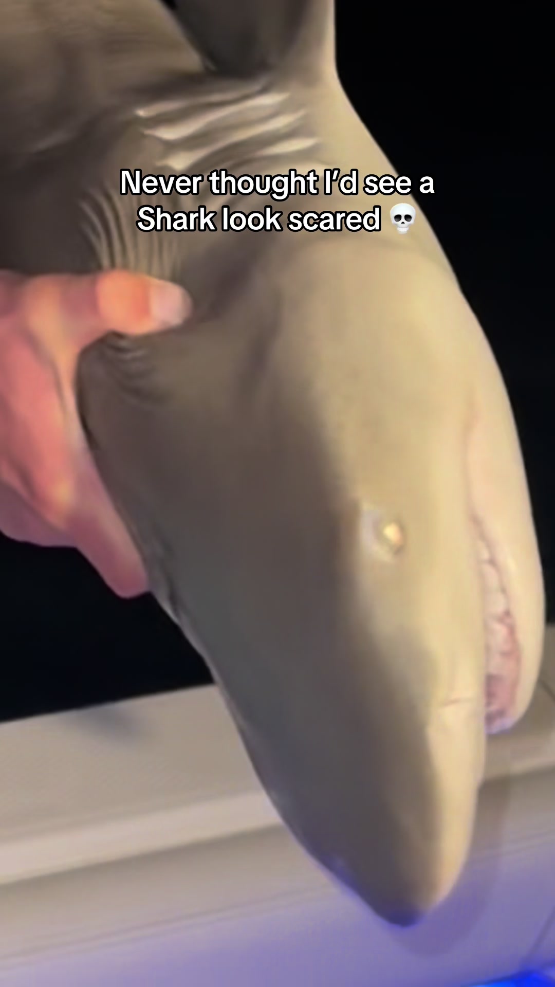 @VinceUnaesthetic