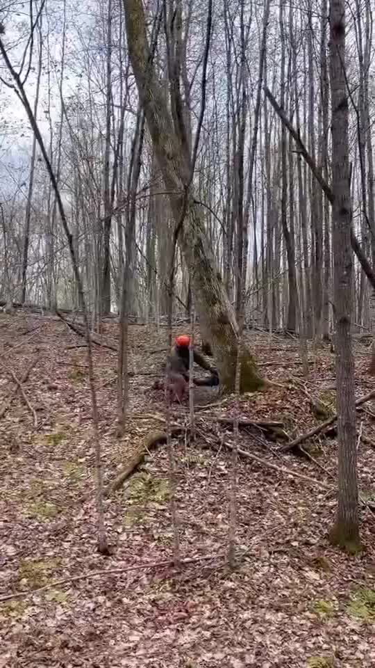 @JoeyLogger