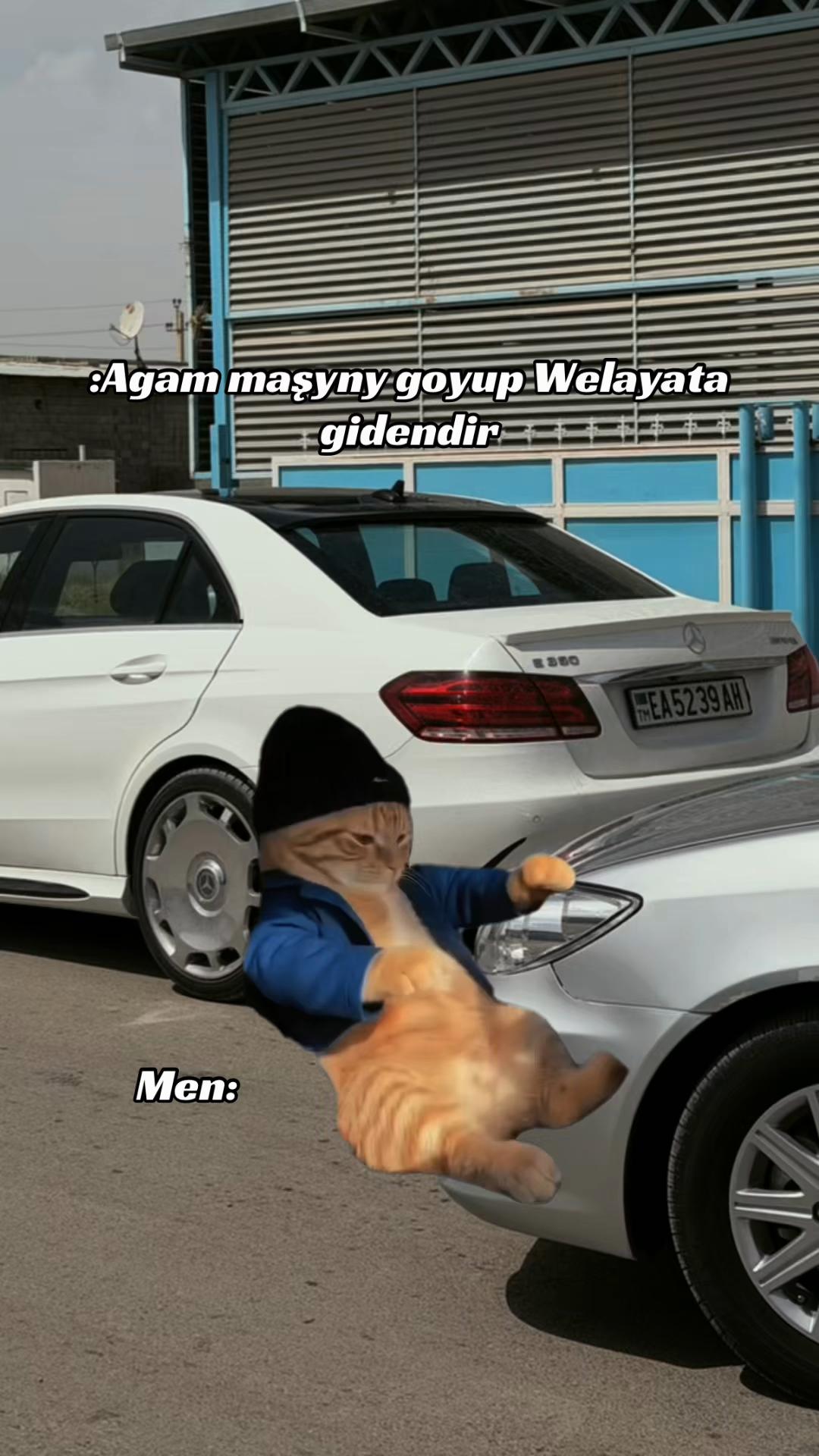 @Görogly🧢