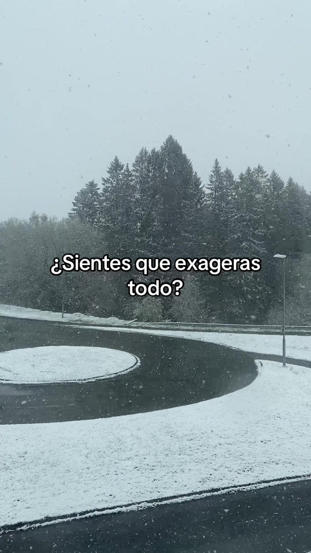 @Ana Garla