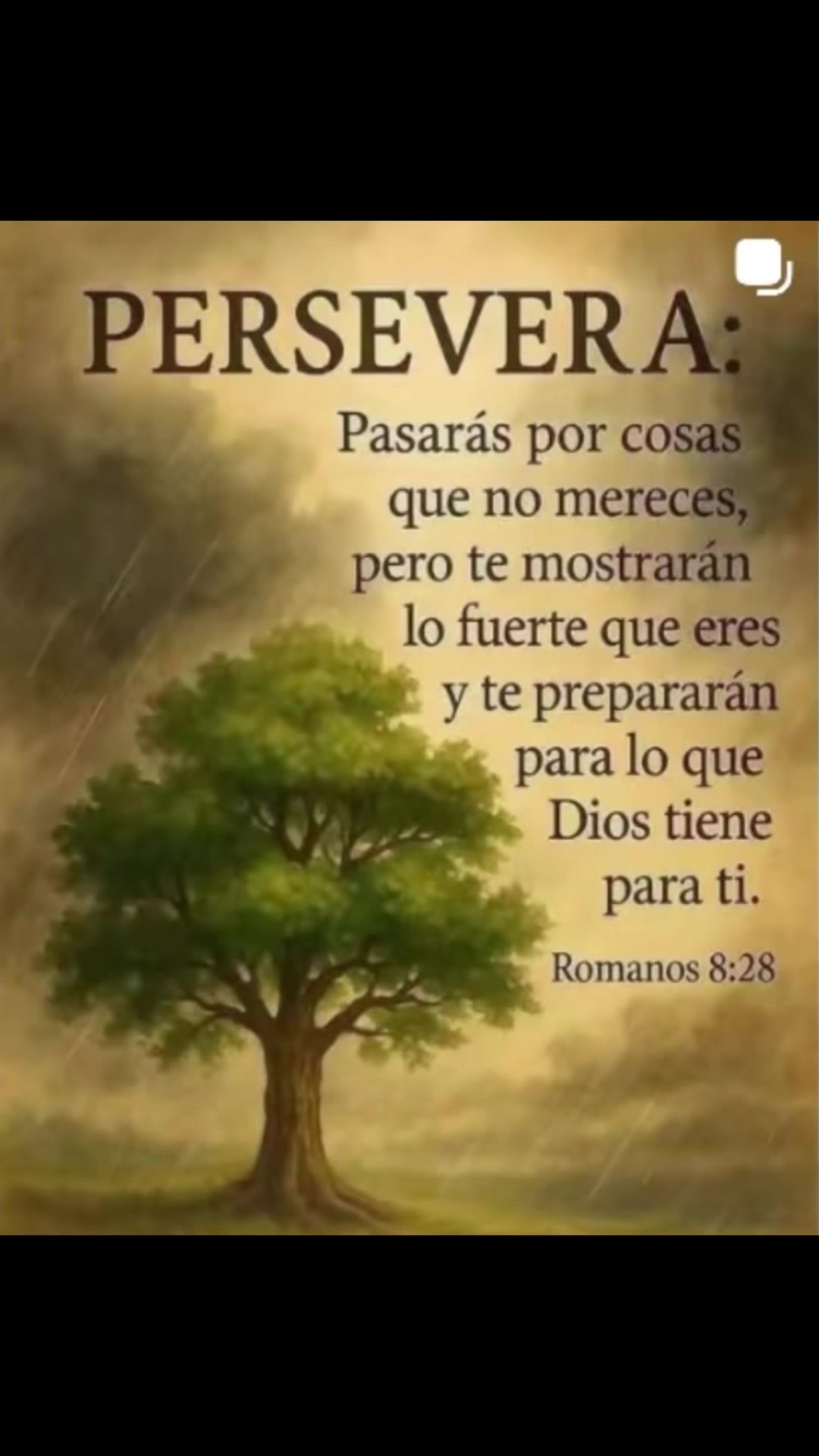 @❤️CHRISTO VIENE YA❤️