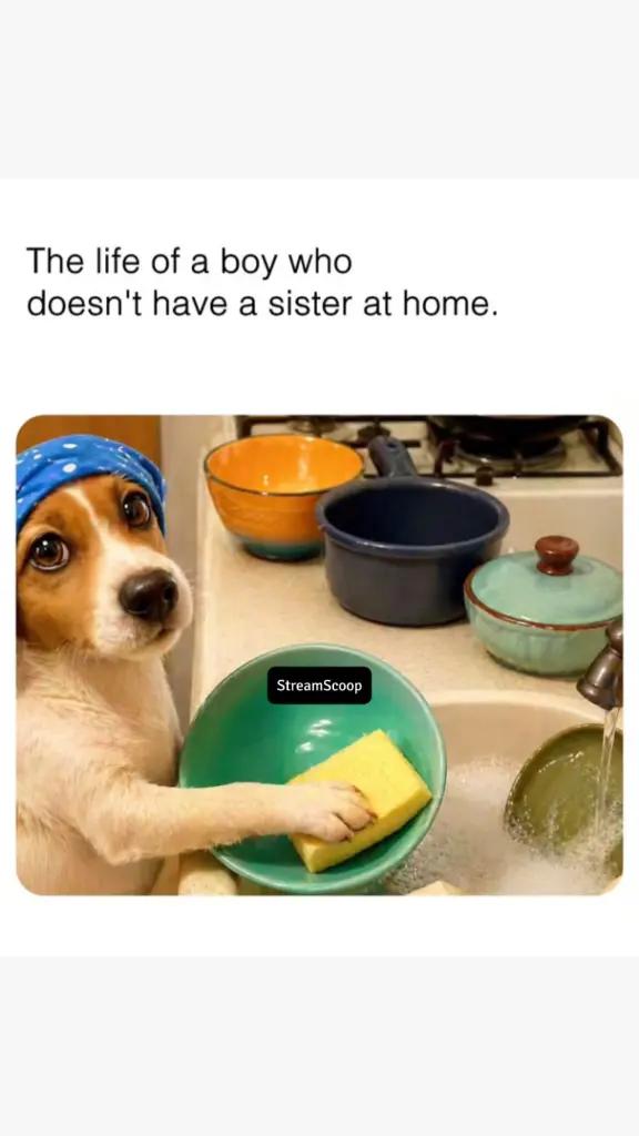 @streamscoop05 | Viral Reels