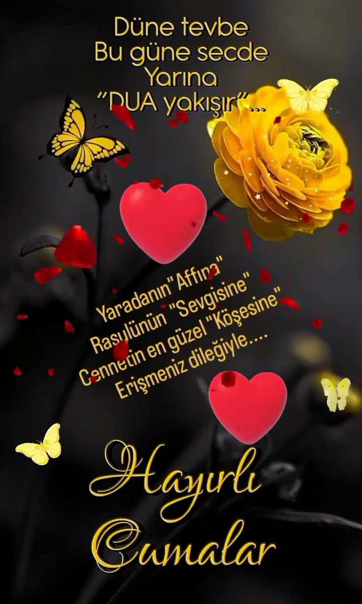 @zeliş