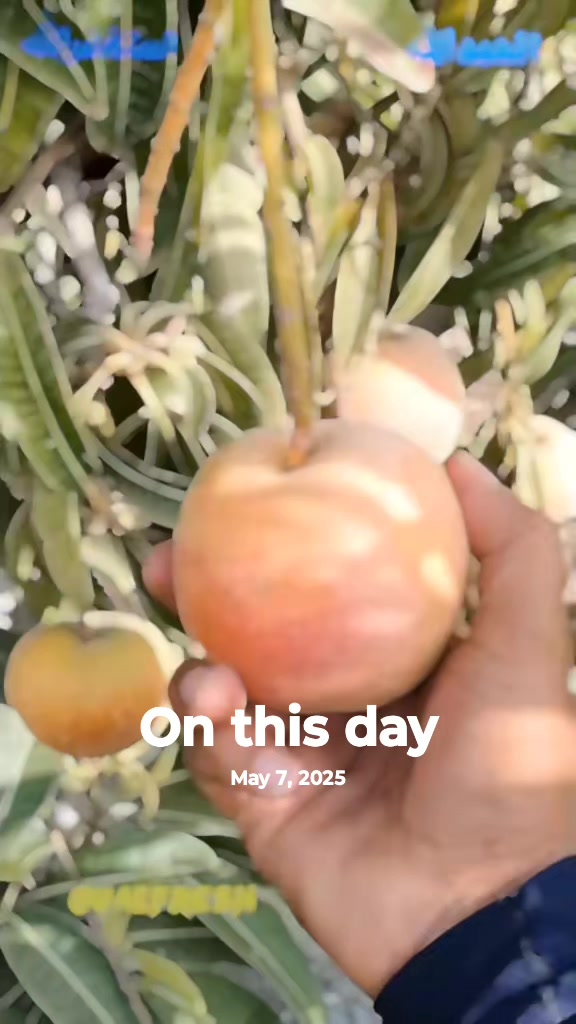 @🇦🇪@UAEFRESH🇦🇪