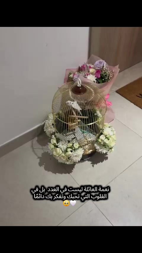 @𝑬𝒍𝒍𝒂🦋💙
