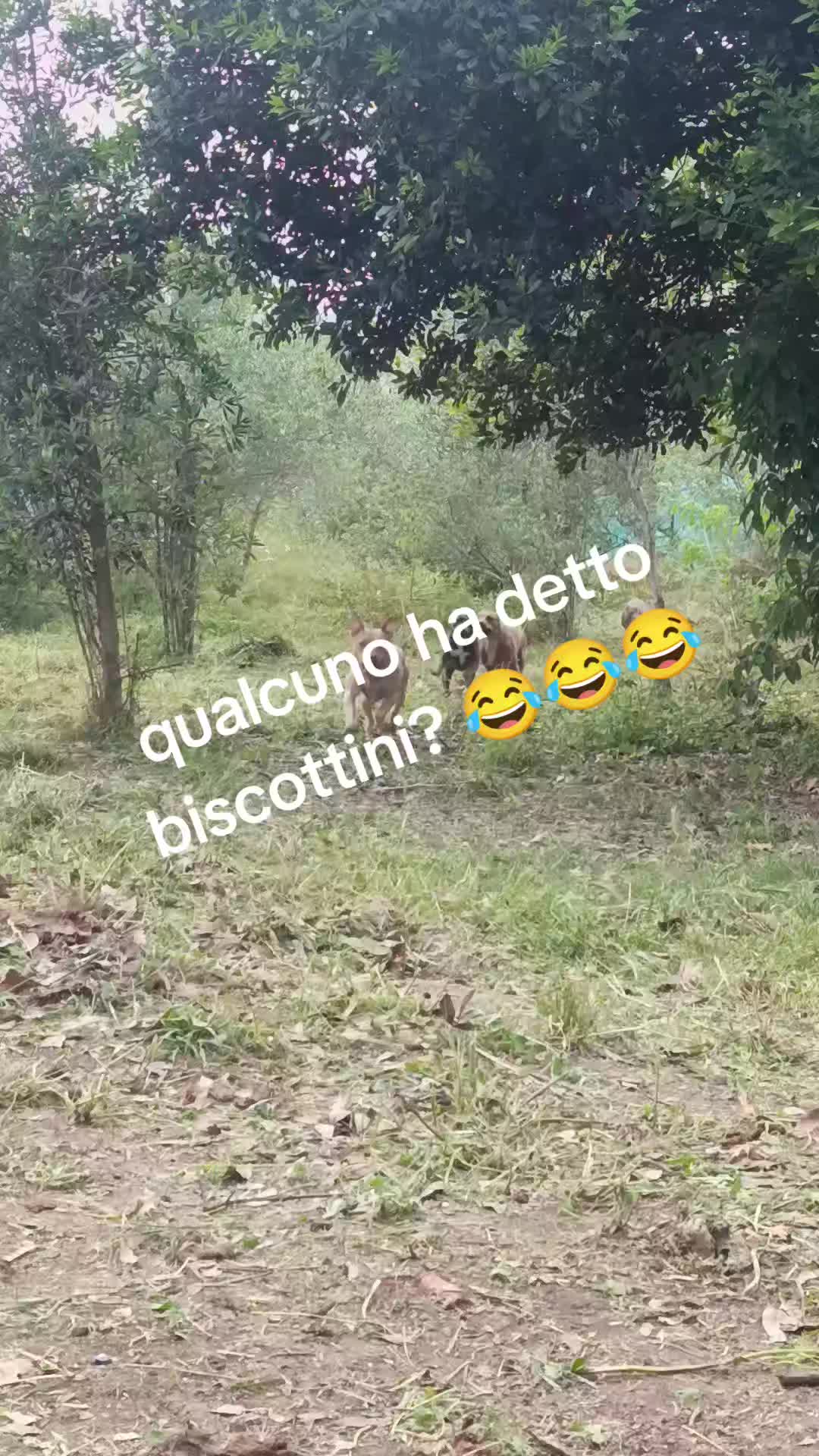 @Maddalena