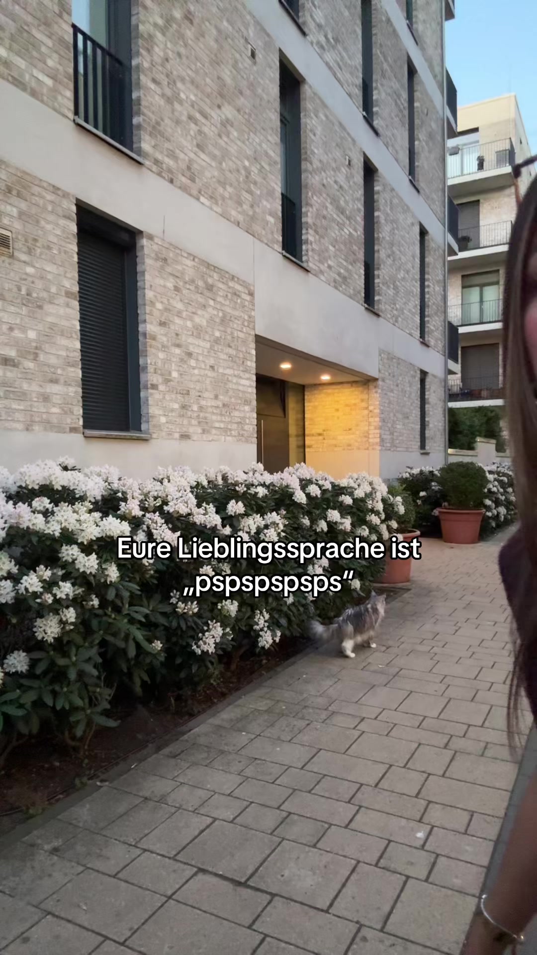 @Ilo🤍