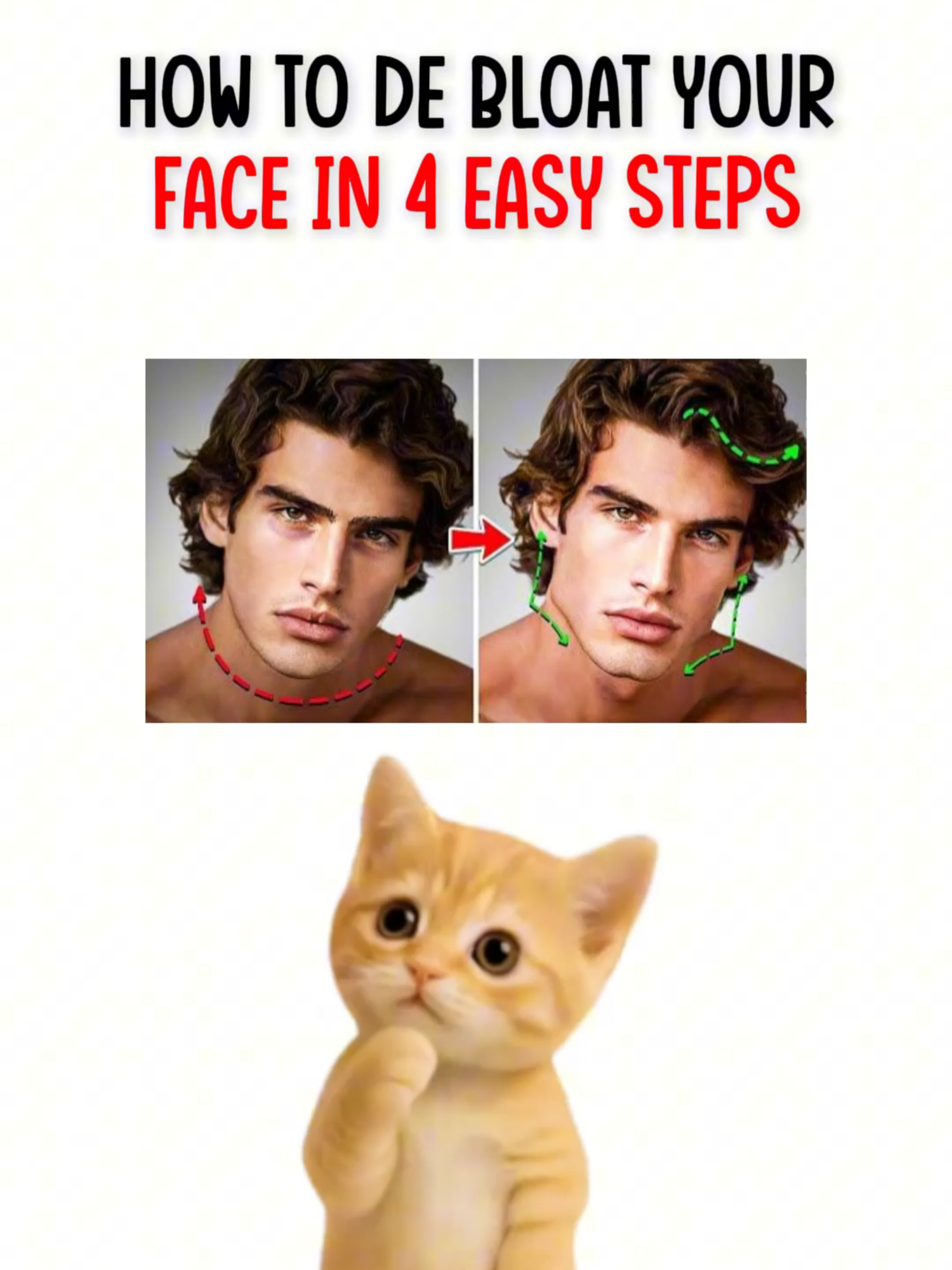 @mrkittyn
