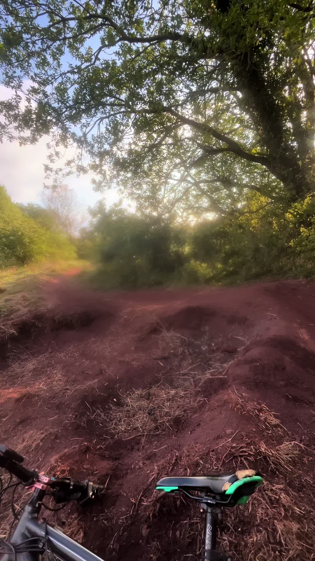 @𝐂𝐡𝐚𝐫𝐥𝐢𝐞