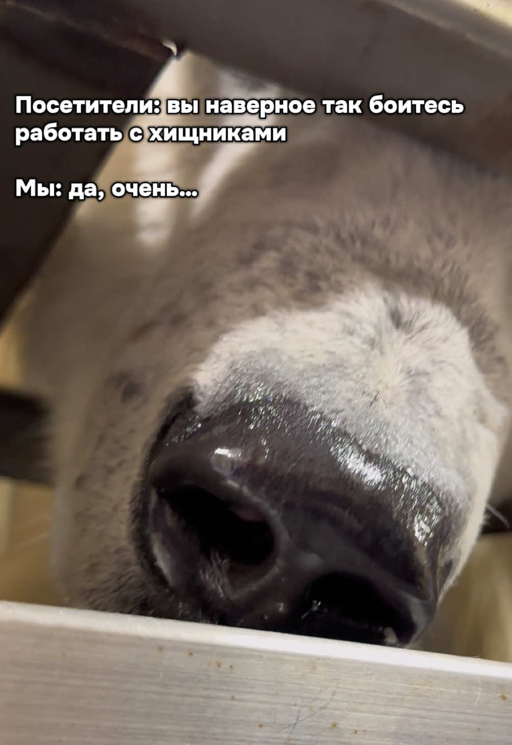 @Даша из зоопарка