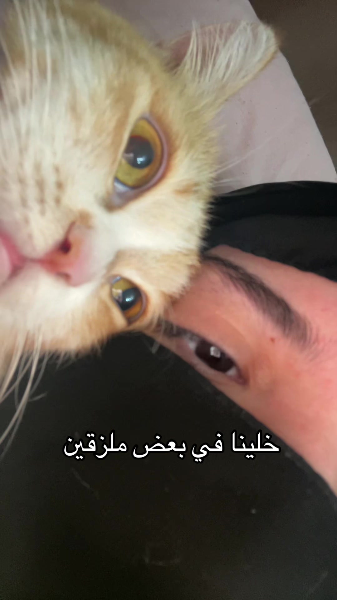 @⋆ ˚｡⋆ هالة ⋆ ˚｡⋆