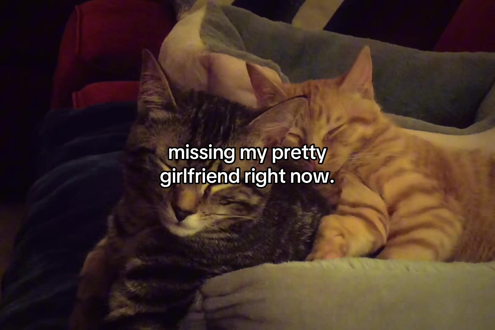 @sxalenz