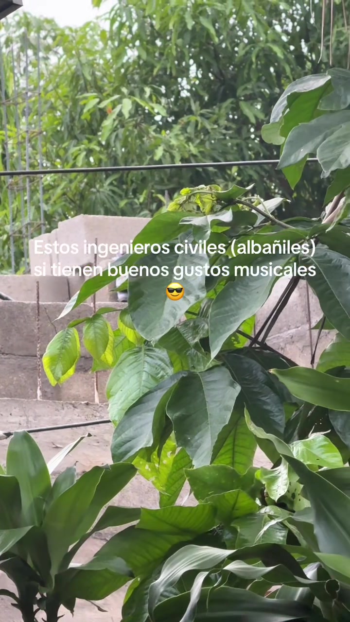 @Coco 🥥