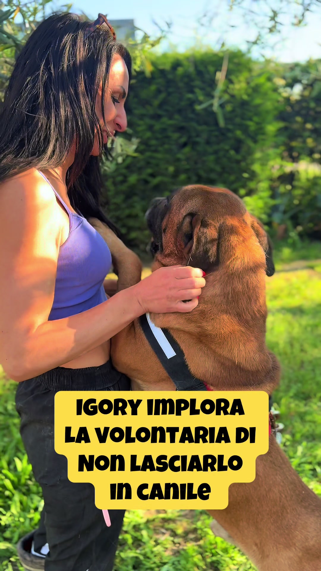 @Francesca Ciffo